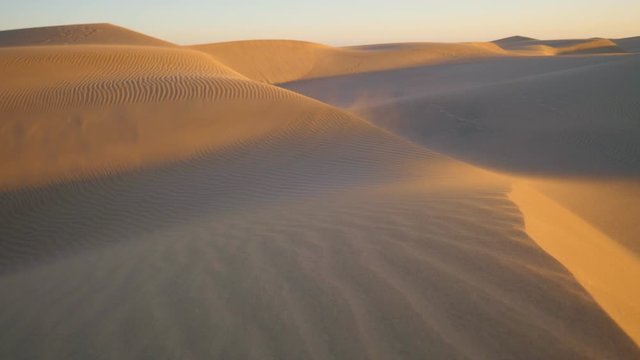 sandy golden dunes of Maspalomas at sunrise, famous tourist destination, walking in desert on sunny morning
