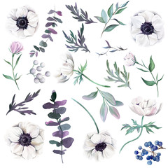 Set of watercolor anemones with leaves berries