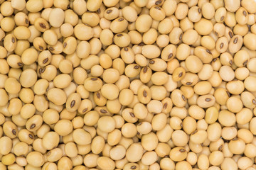 Top view dried soy bean for background