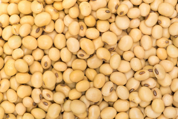 Top view dried soy bean for background