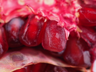 red pomegranate on a white background