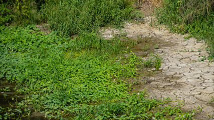 Dry canal because arid, Bangkok Thailand