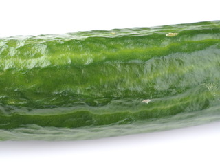 cucumber on a white background