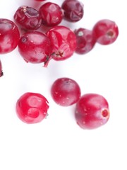 cranberries on a white background