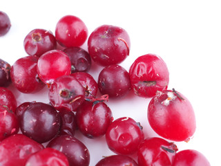 cranberries on a white background