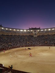Spanish Bullfighting in Las Ventas 