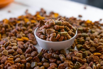 Dry pet food in a white ceramic bowl