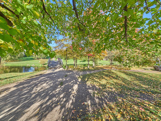 river in the park. autumn
