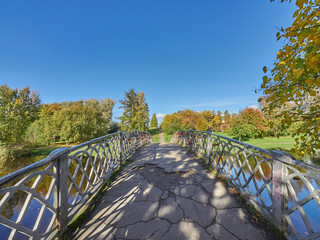 river in the park. autumn