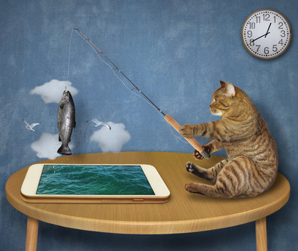 The beige cat fisher with a rod is sitting on a wooden table and fishing in the phone. He caught a big fish. White background. Isolated.