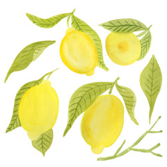 Set of fruits, leaves and sprigs of juicy lemons. Watercolor illustration isolated on white background.
