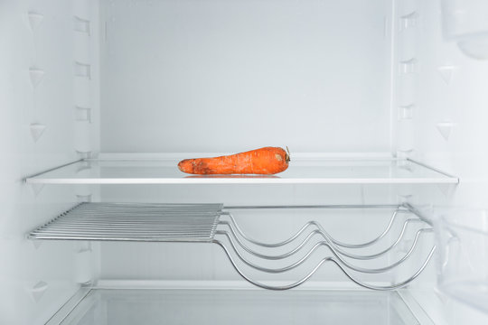 Old carrot on empty shelf in refrigerator