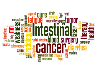 Intestinal cancer word cloud concept 2