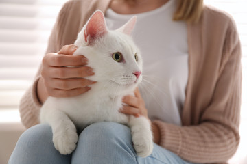 Young woman with her beautiful white cat at home, closeup. Fluffy pet