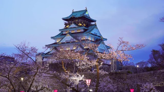 Cherry blossoms and castle in Osaka, Japan.