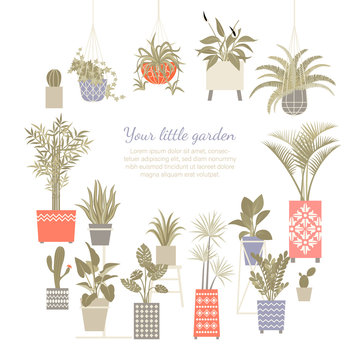 Set of vector illustrations of home plants in decorated and macram pots isolated on a white background