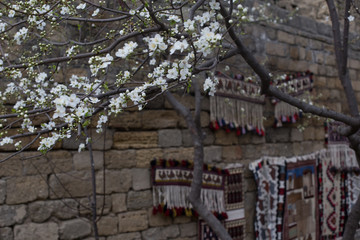 chinese temple in beijing china
