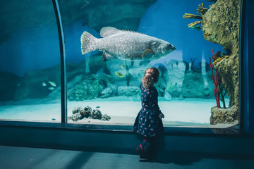 Child watching fish through the glass in a Seaquarium.