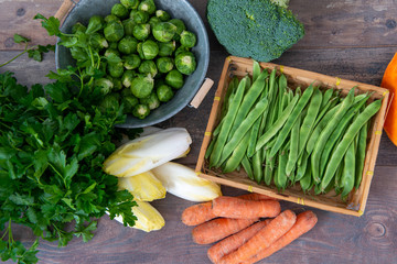 seasonal vegetables, flat beans, sprouts, endives, carrots