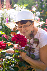 Cute positive senior woman in a white hat with a wide brim smelling beautiful red roses in a summer garden