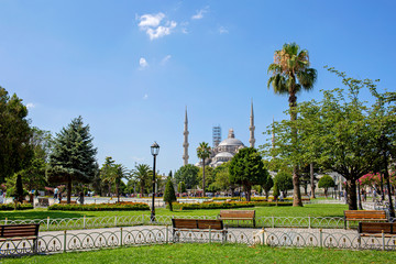 Obraz premium Sultan Ahmed Mosque (Blue Mosque) in Istanbul with lawn