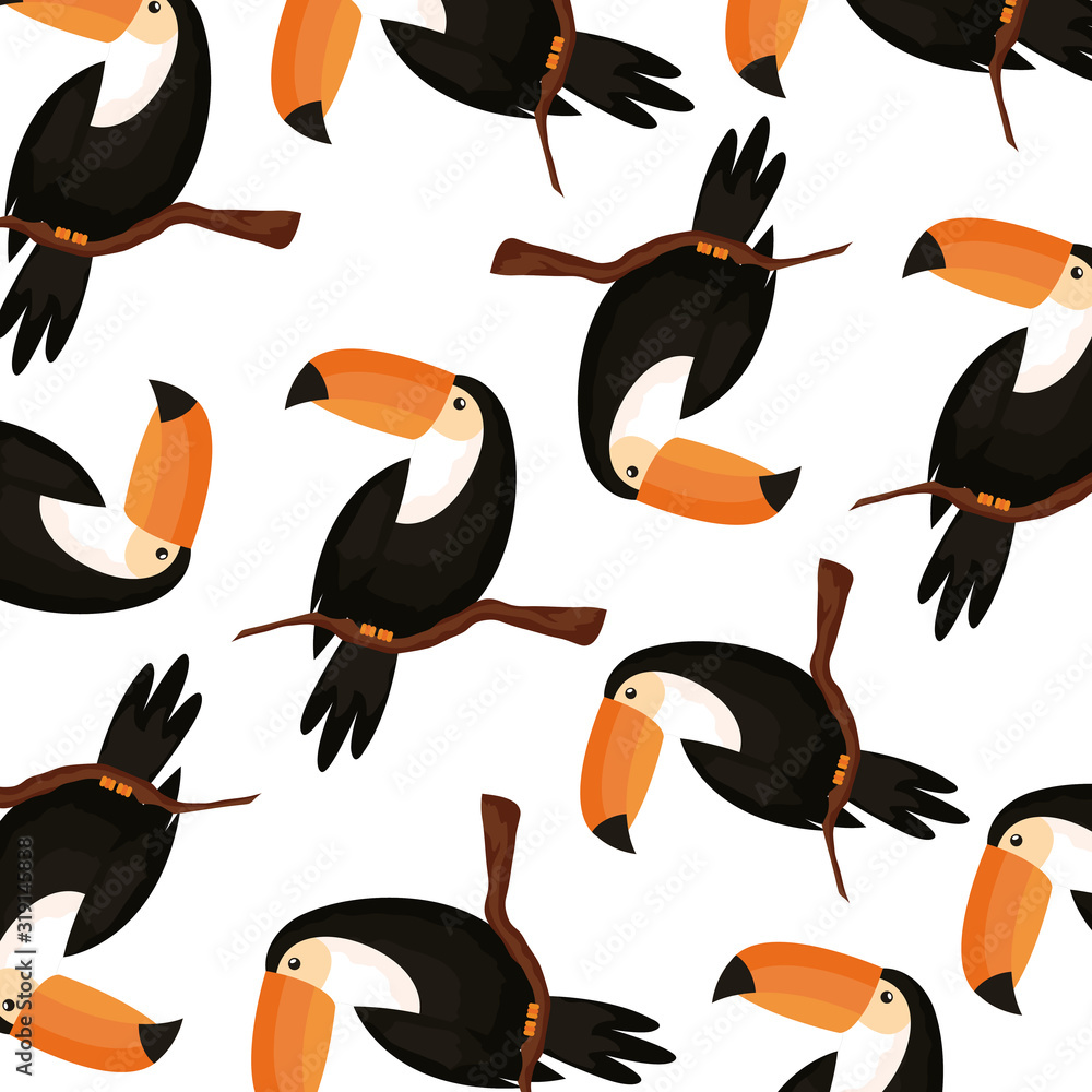 Poster background of toucans animals exotic vector illustration design