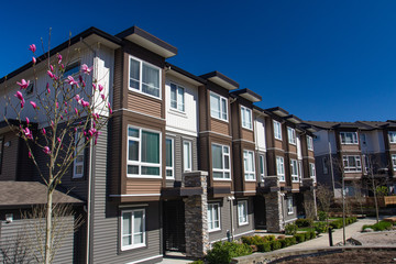 Brand new apartment building on sunny day in spring with blooming trees.