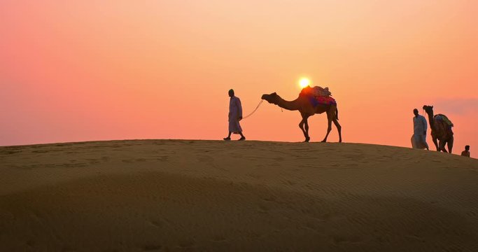 Indian cameleers (camel driver) bedouin with camel silhouettes in sand dunes of Thar desert on sunset. Caravan in Rajasthan travel tourism background safari adventure. Jaisalmer, Rajasthan, India