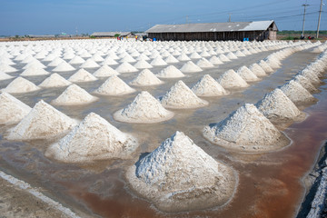 Salt field