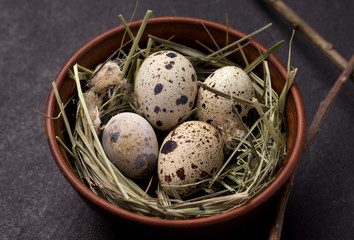 Easter quail eggs in the hay in a clay bowl close-up