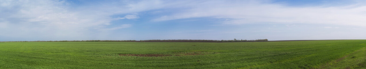 Beautiful panorama. Natural landscape green field and blue sky with white clouds