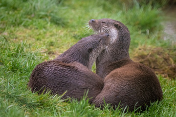 We all need a hug sometimes