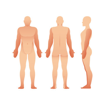 Silhouettes of man front, side and back view. Vector human body