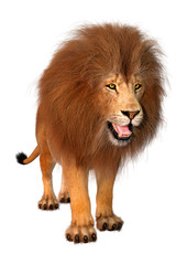 Obraz na płótnie Canvas 3D Rendering Male Lion on White