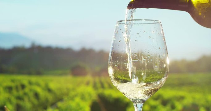 Sommelier in wine cellar pouring italian white wine in glass, slow motion