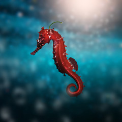Seahorse Chili © Julien Levené