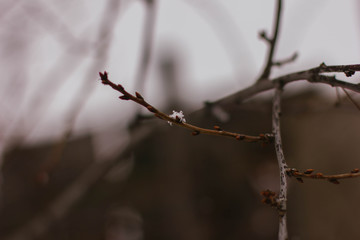 barbed wire on background of blue sky