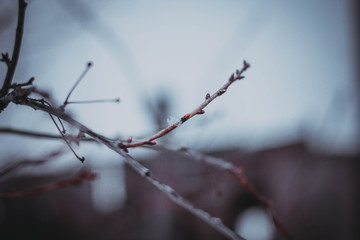 barbed wire on background of blue sky