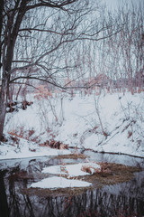 winter landscape with trees and snow