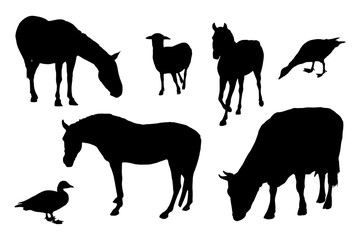 Farm animals silhouettes set on white background