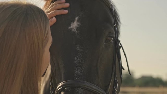 Cropped view of a calm young girl jockey is stands next to a brown horse while petting it at the open area