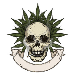 Skull. Rastaman skull with cannabis leafs and ribbon for your text.