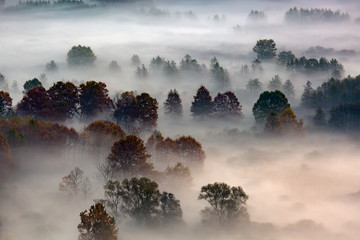 Sunrise on the Adda river with fog and its vegetation