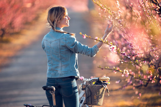 Pretty young woman with a vintage bike looking the cherry blossoms on the field in springtime.