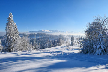 Winter landscape in mountains.