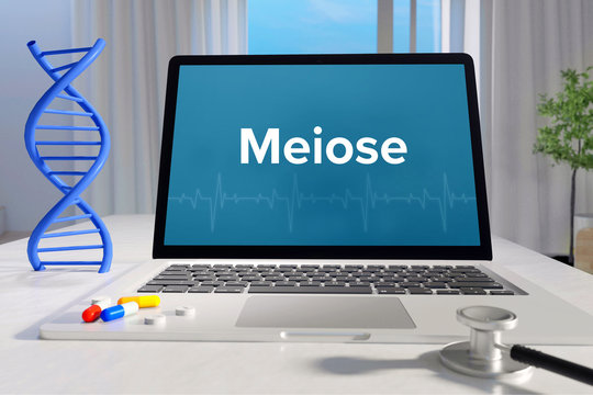 Meiose &ndash; Medizin/Gesundheit. Computer im B&uuml;ro mit Begriff auf dem Bildschirm. Arzt/Gesundheitswesen
