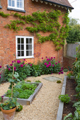 Fototapeta na wymiar Small courtyard garden UK