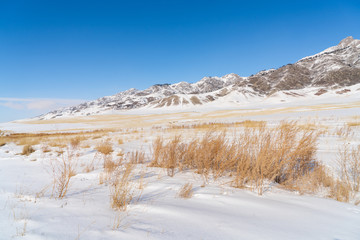 Fototapeta na wymiar Snow mountain and snow field grassland near by the Xinjiang China Sayram lake. Winter season.