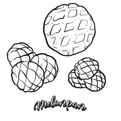 Melonpan food sketch separated on white