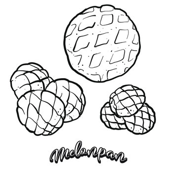 Melonpan food sketch separated on white